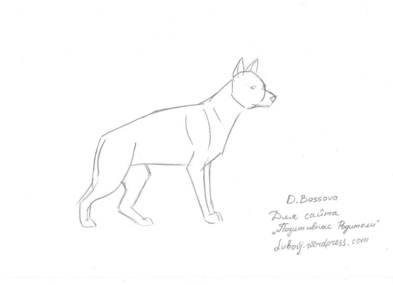 Среднеазиатская овчарка алабай