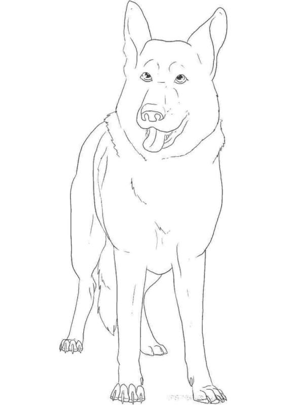 Как нарисовать собакуку