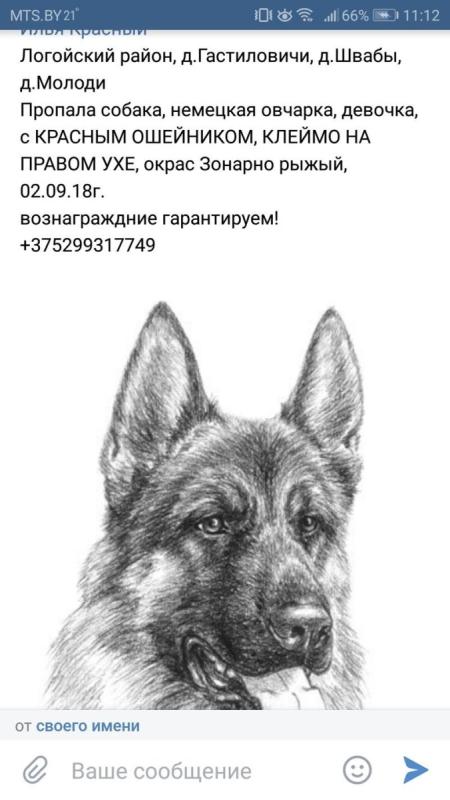 Рисуем овчарку с детьми