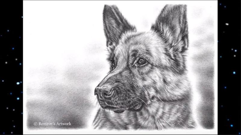 Маска немецкой овчарки