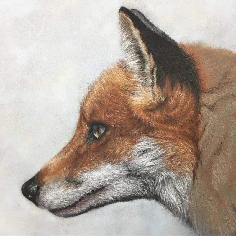 Портрет лисы