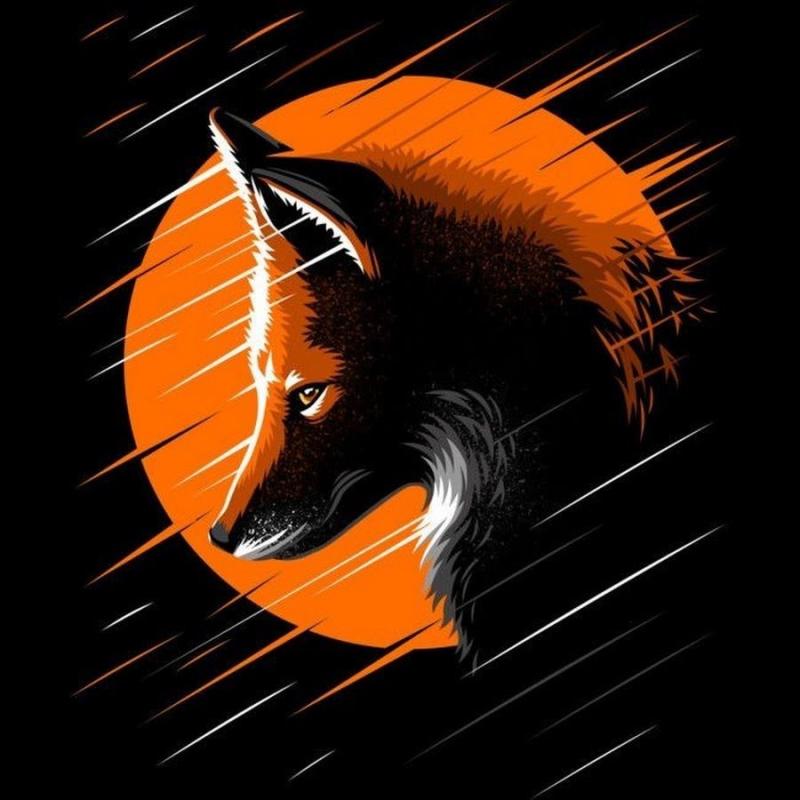 Авы для ТТ лисы