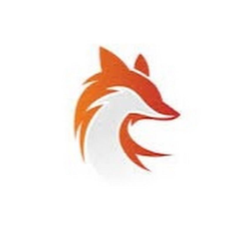 Логотипы со слоганом лиса