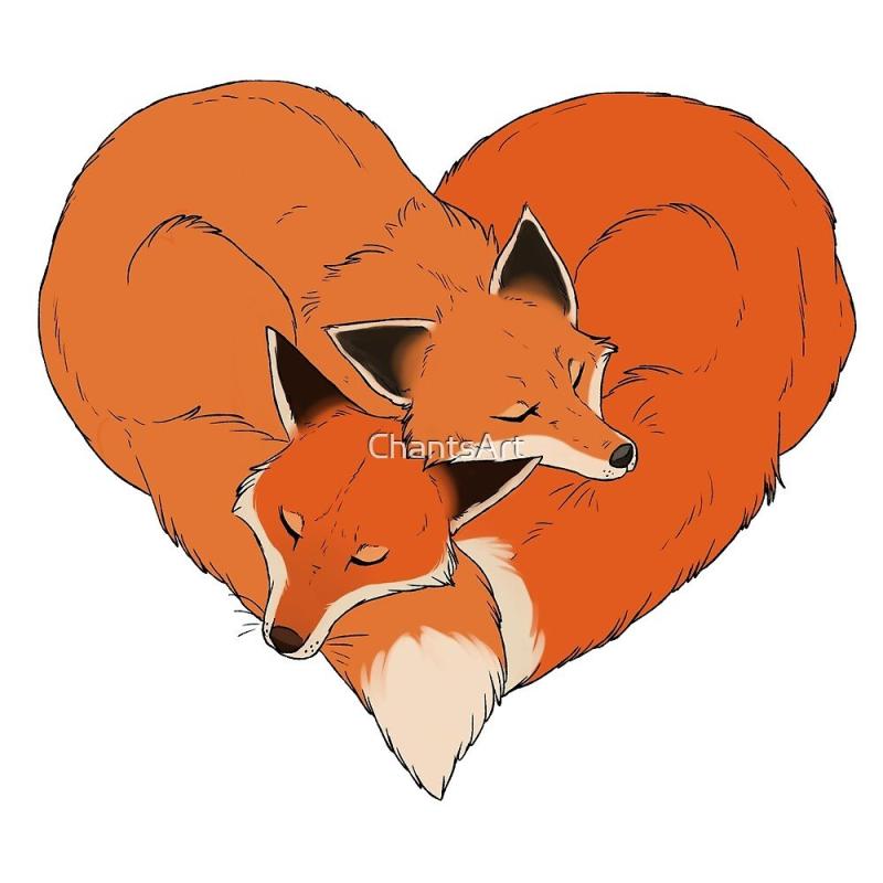 Влюбленные лисы