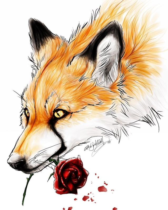 Эскиз лисы с открытой пастью