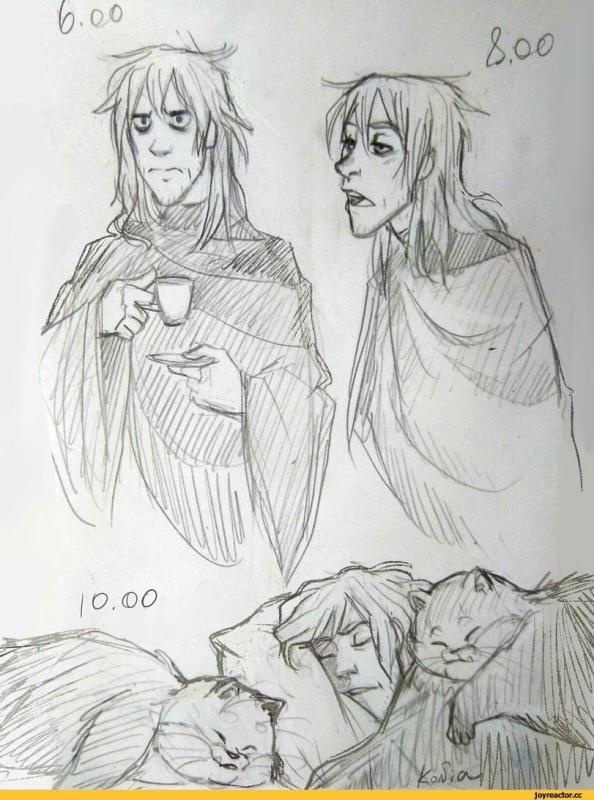 Лабиринты Ехо Лонли Локли