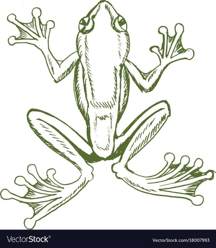 Наклейки с лягушатами