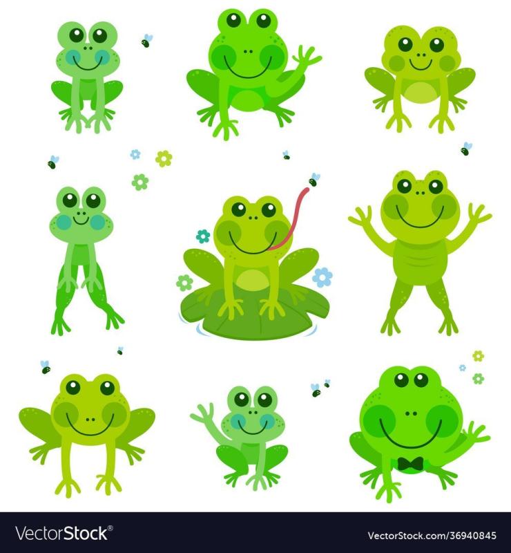 Лягушка рисунок