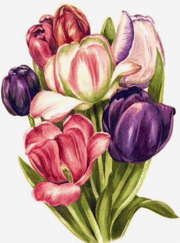 Тюльпан рисунок для детей 1 класса