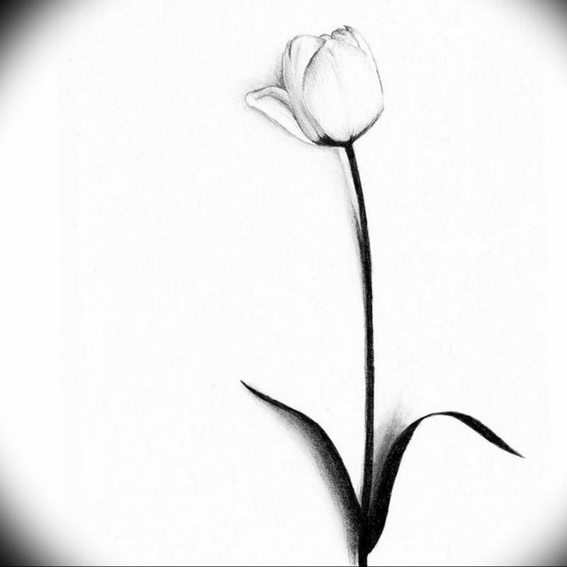 Рисование цветов поэтапно для начинающих