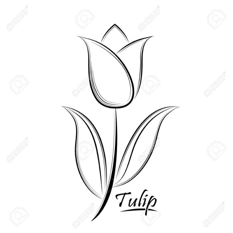 Тюльпаны скетч