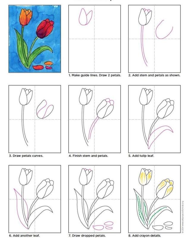 Тюльпан раскраска