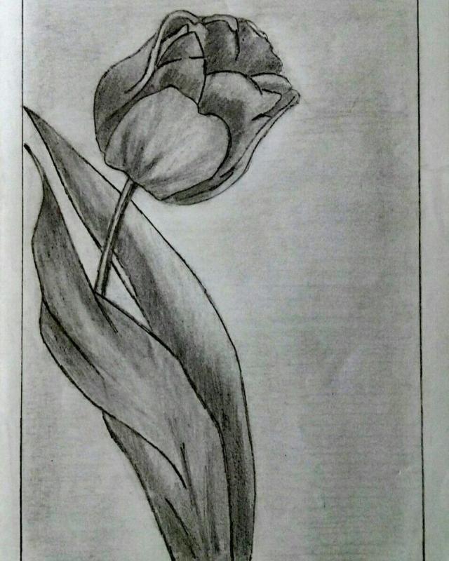 Цветок тюльпан для детей