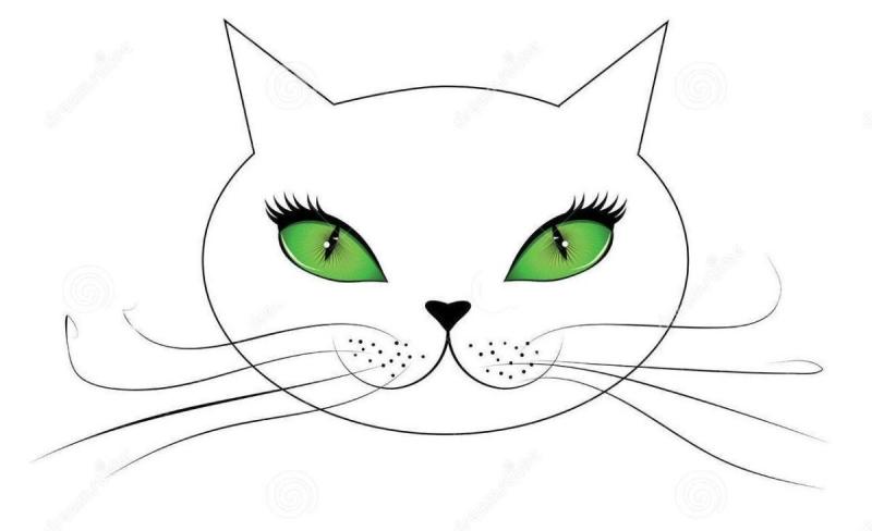 Контур головы кошки