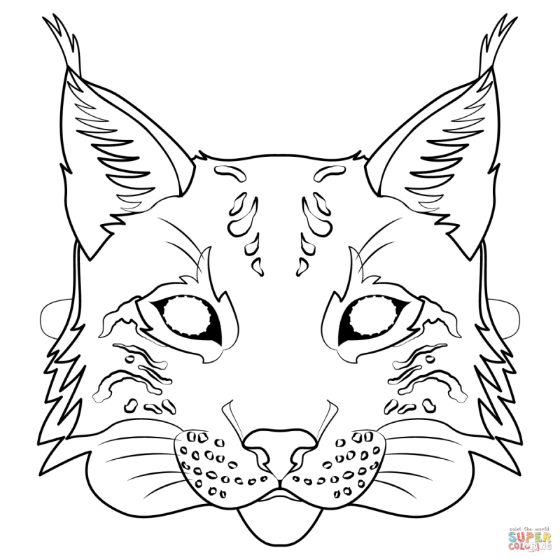 Рысь раскраска