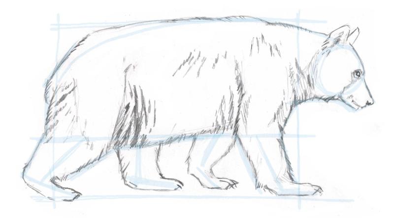 Мишка эскиз