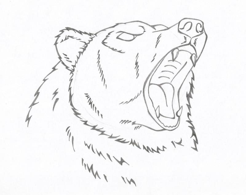 Морда медведя