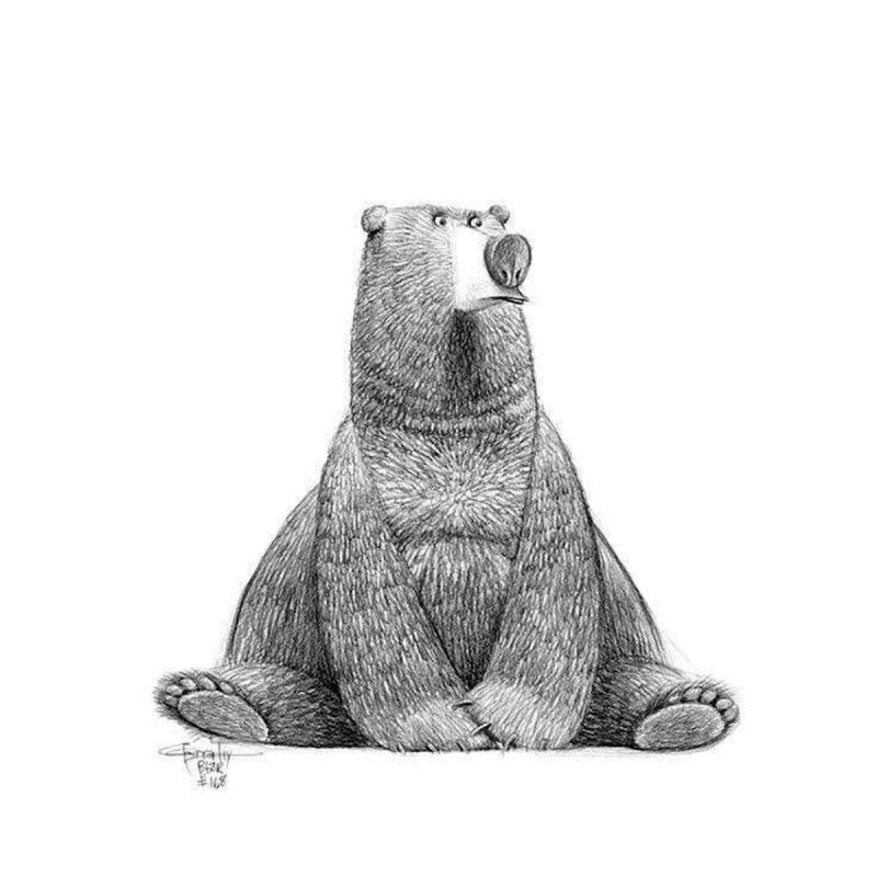 Модный медведь рисунок