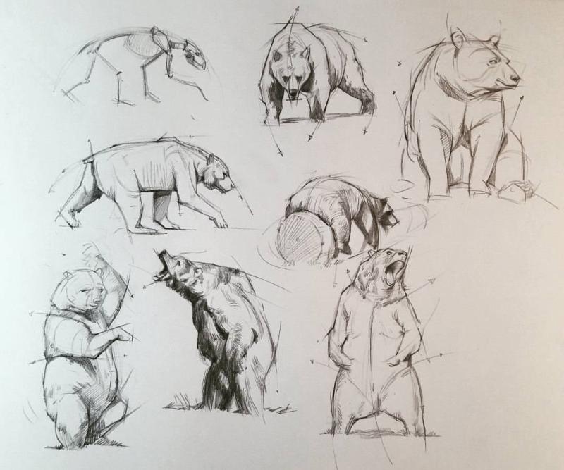 Готтфрид Баммес изображение животных