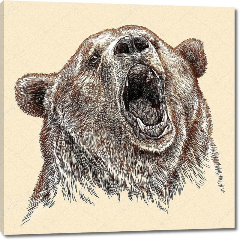 Медведь гравюра