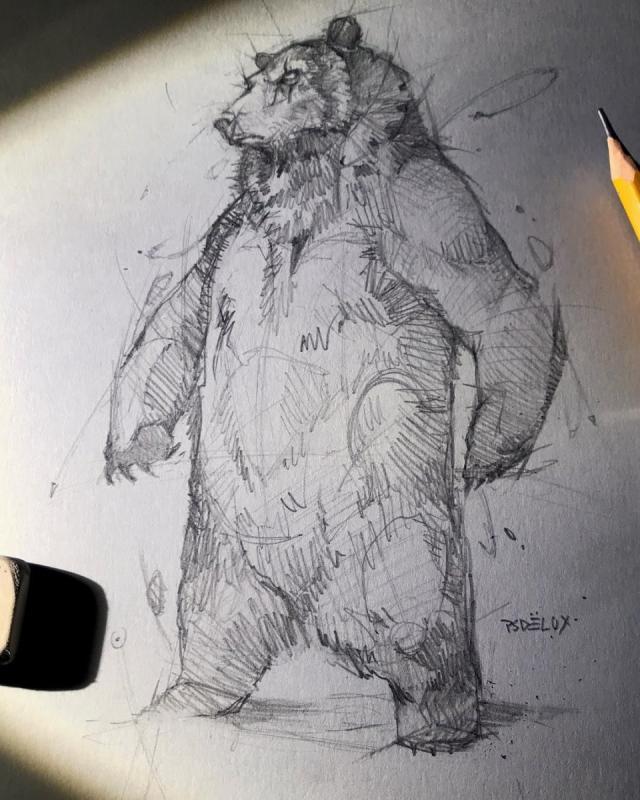 Медвежонок скетч