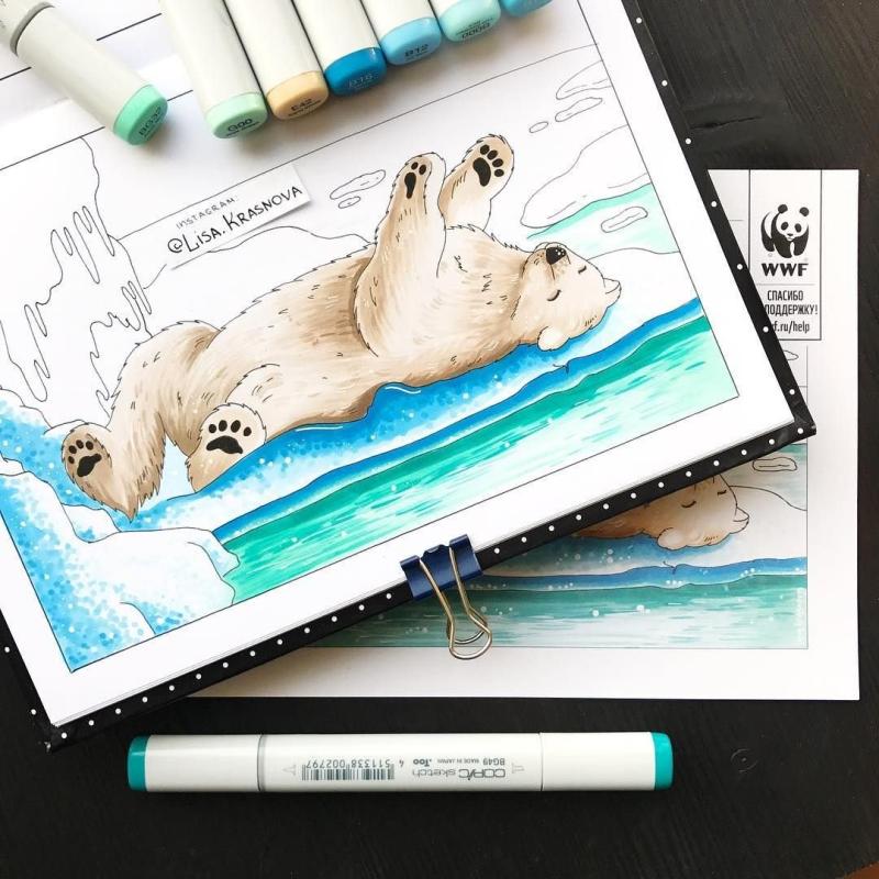 Скетчи фломастерами мишка