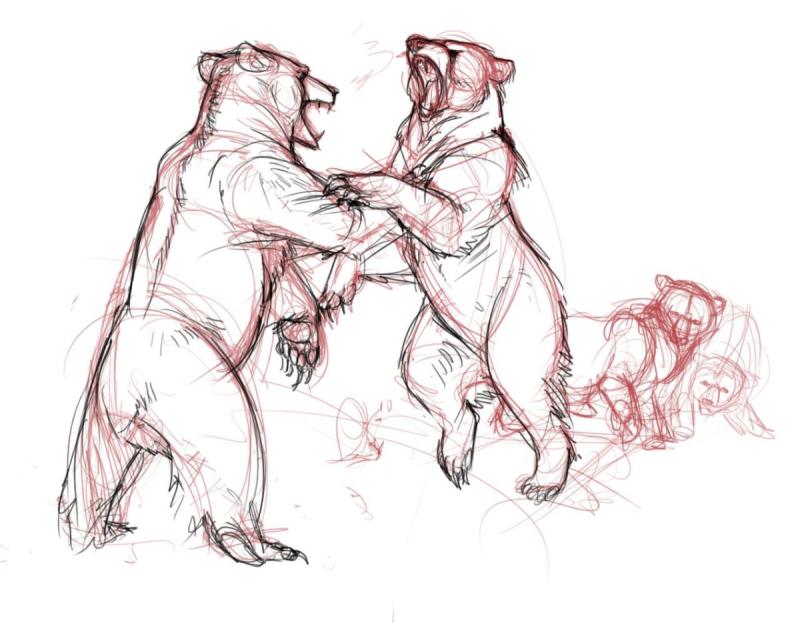 Анатомия медведя референс