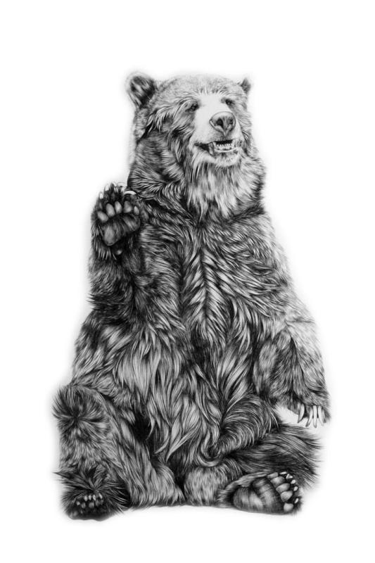 Медведь эскиз