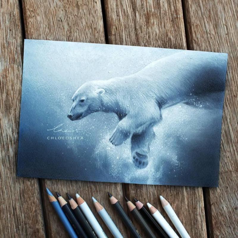 Рисование пастельными карандашами