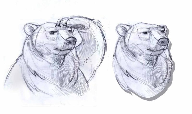 Морда медведя рисунок карандашом