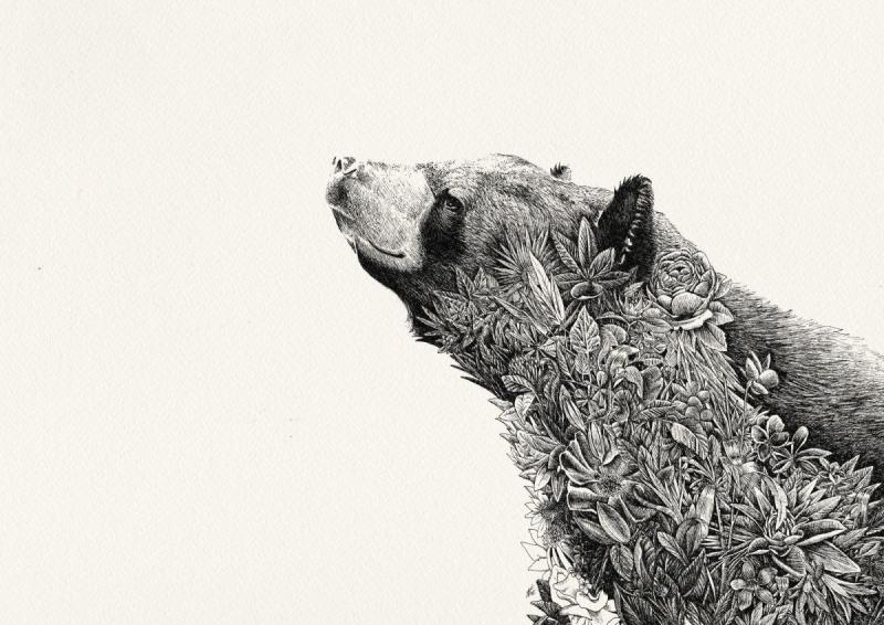 Медведь Графика