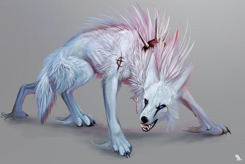 Необычные волки