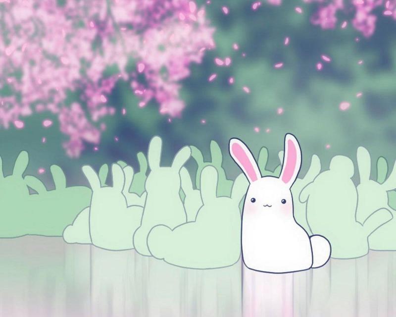 Милые кавайные котики