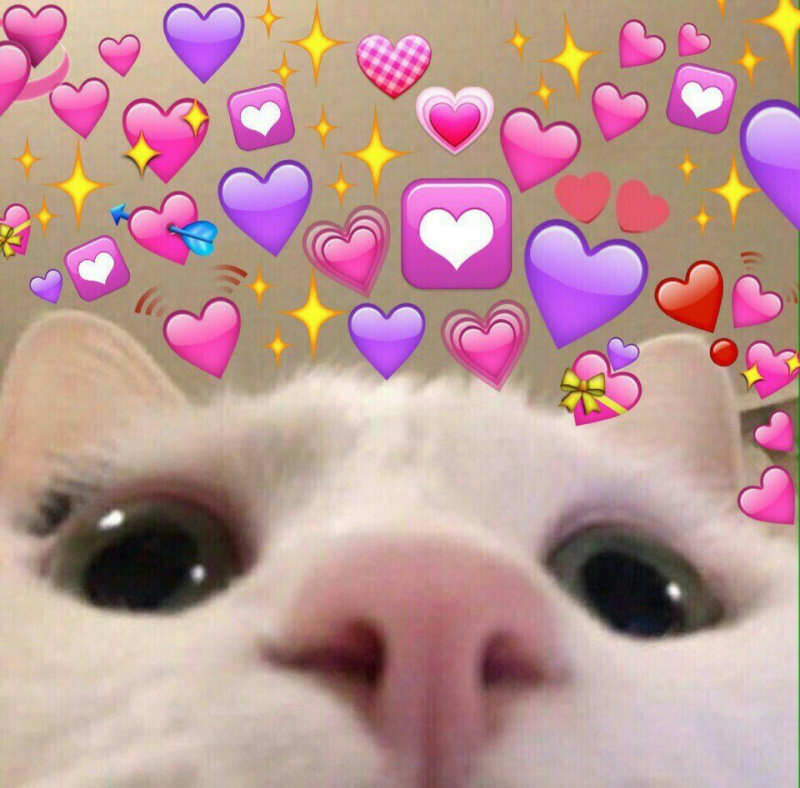 Милые пикчи рисунки