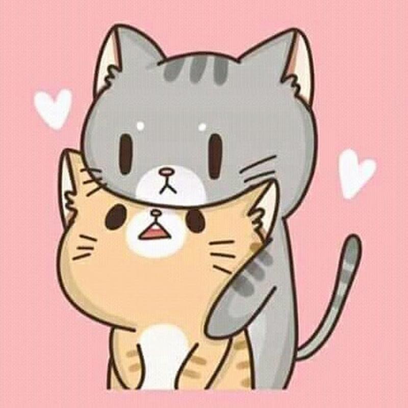 Пушин зе Кэт