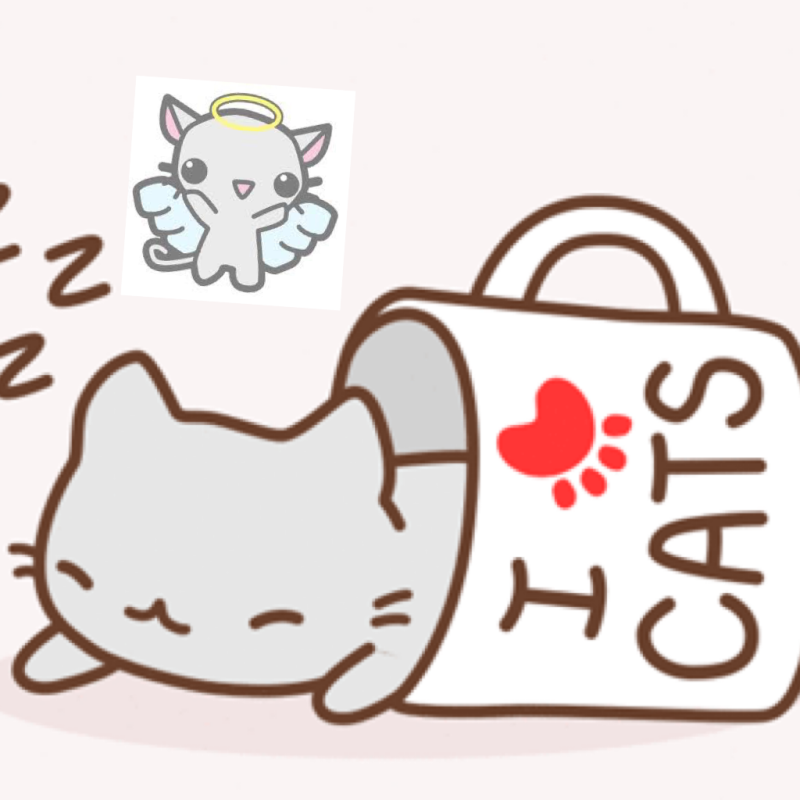 Милый котик рисунок для срисовки