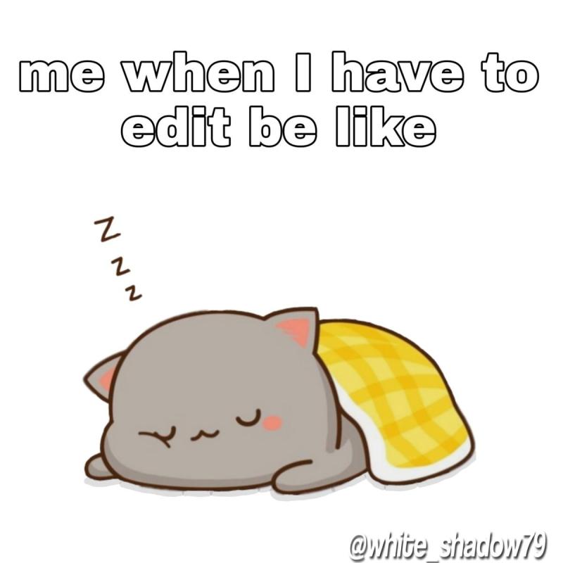 Рисунки для срисовки лёгкие котики