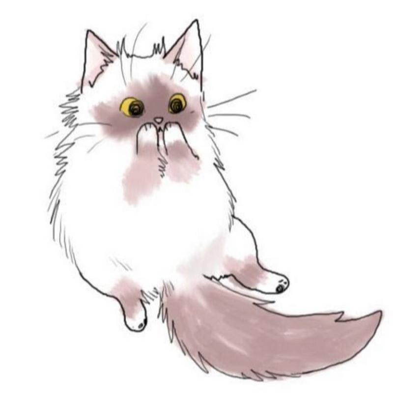 Милый котик рисунок