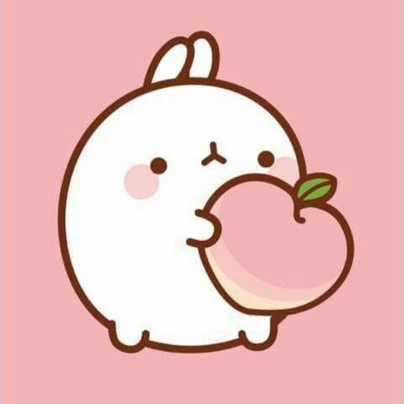 Котик Пушин