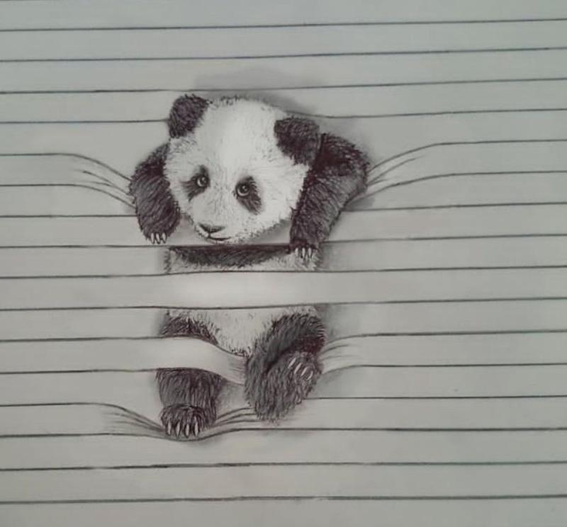 Панда рисунок карандашом милый