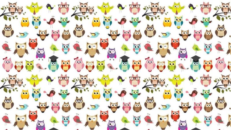 Фон с совушками