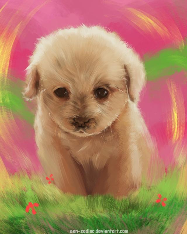 Милые картинки