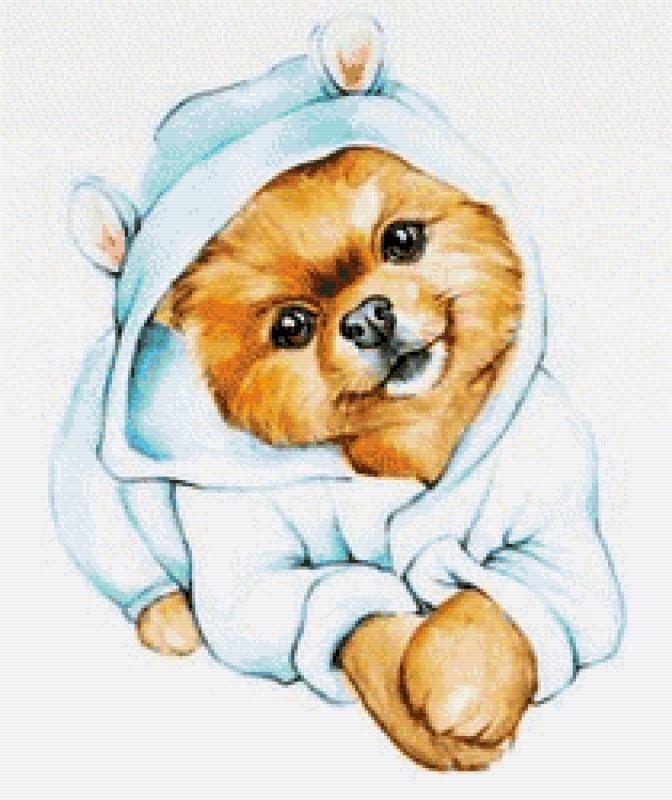 Шпиц рисунок