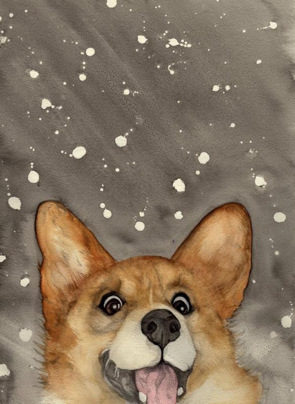 Корги рисуночек миленький