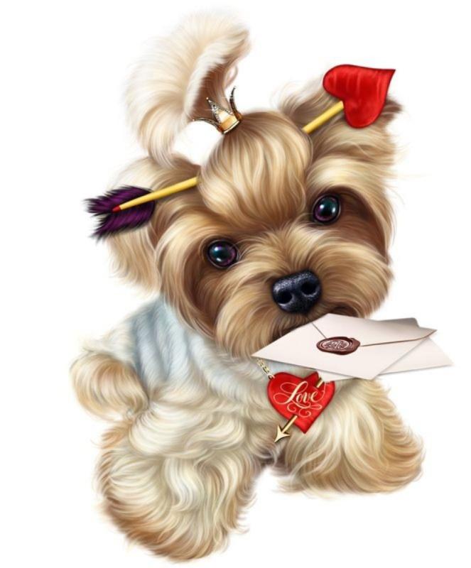 Йоркширский терьер