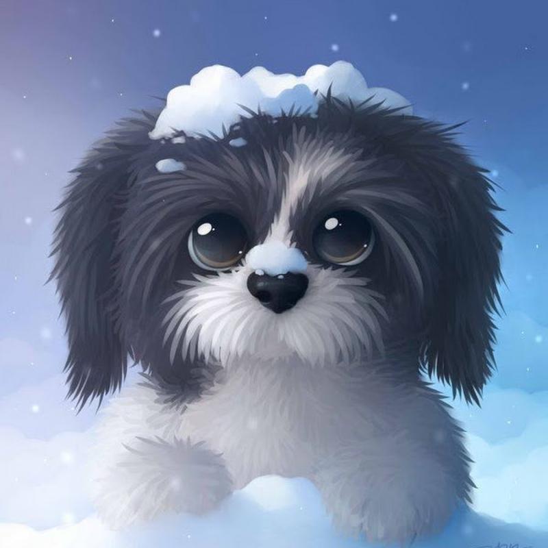 Милые собачки