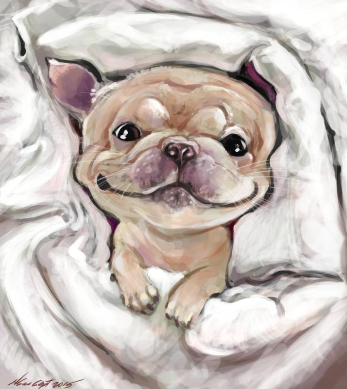 Мимимишные собаки