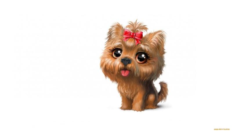 Милые животные на белом фоне