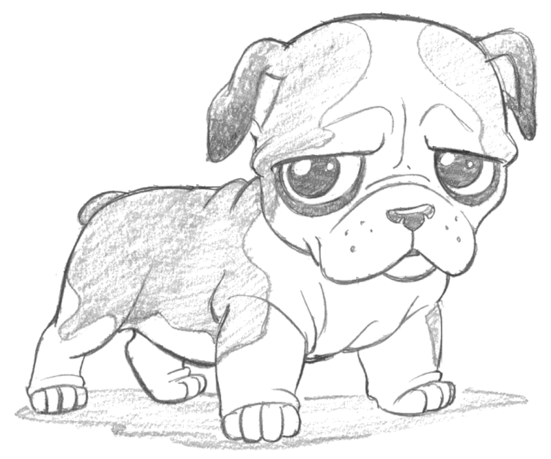 Рисунки карандашом животные