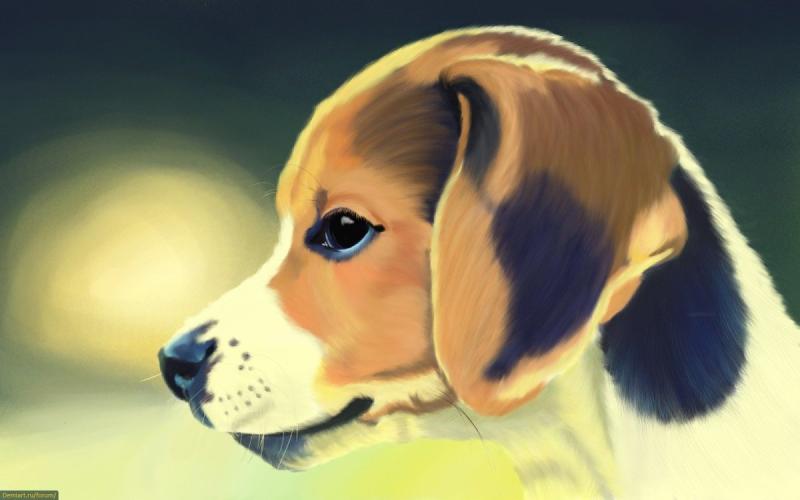 Красивые и милые рисунки собачек